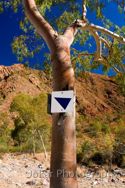 Larapinta_20080609_369 copy.jpg - Trail marker, Hugh Gorge